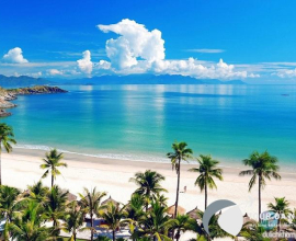 Top 25 Địa Điểm Du Lịch Đà Nẵng Mùa Hè 2025 Bạn Không Thể Bỏ Qua