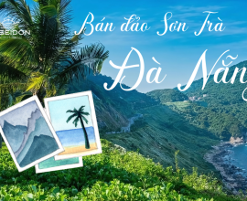 Bán Đảo Sơn Trà Đà Nẵng Có Gì Đặc Biệt Mà Ai Cũng Muốn Đến?
