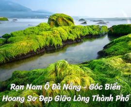 Rạn Nam Ô Đà Nẵng - Góc Biển Hoang Sơ Đẹp Ngay Giữa Lòng Thành Phố