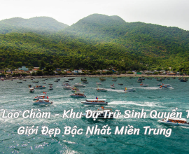 Cù Lao Chàm - Khu Dự Trữ Sinh Quyển Thế Giới Đẹp Bậc Nhất Miền Trung