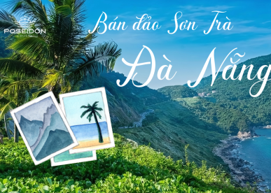 Bán Đảo Sơn Trà Đà Nẵng Có Gì Đặc Biệt Mà Ai Cũng Muốn Đến?