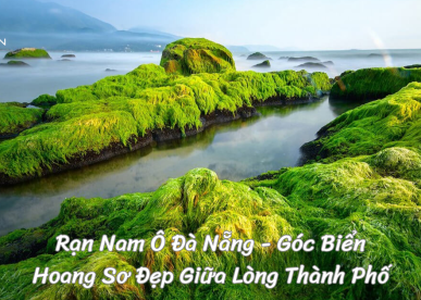 Rạn Nam Ô Đà Nẵng - Góc Biển Hoang Sơ Đẹp Ngay Giữa Lòng Thành Phố