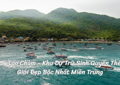 Cù Lao Chàm - Khu Dự Trữ Sinh Quyển Thế Giới Đẹp Bậc Nhất Miền Trung
